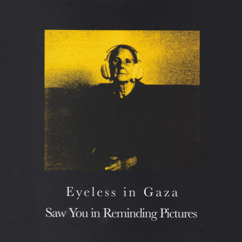 Cover image for Saw You In Reminding Pictures