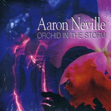 Album cover art for "Save the Last Dance for Me" by Aaron Neville