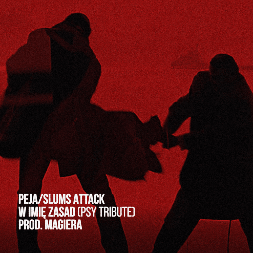 Album cover art for "W imię zasad (PSY Tribute)" by Peja