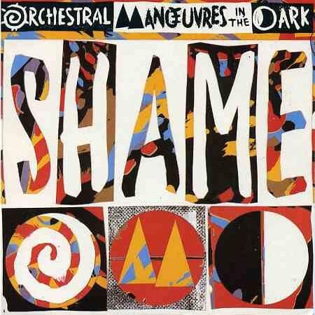 Cover image for Shame