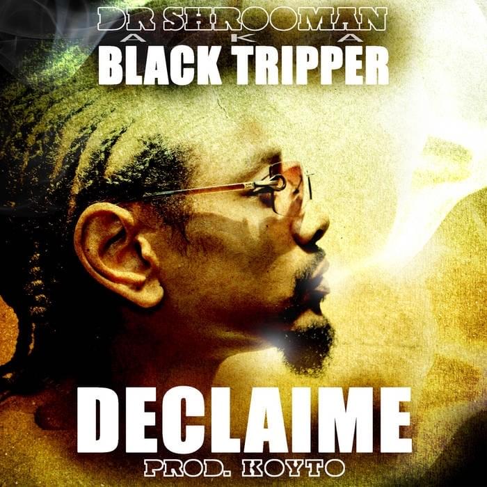 Cover image for Dr. Shrooman AKA Black Tripper