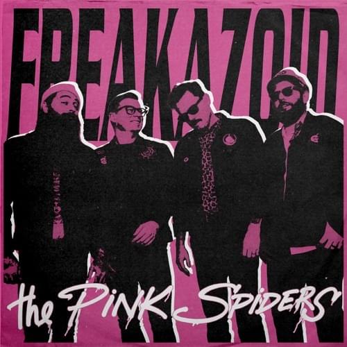 Devotion by The Pink Spiders