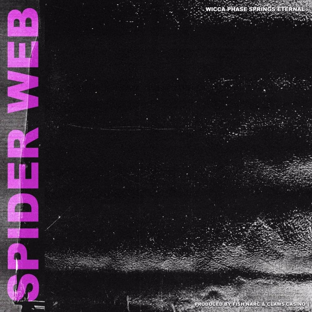 Spider Web by Wicca Phase Springs Eternal