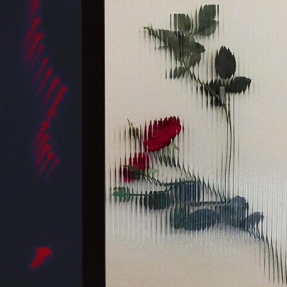 Album cover art for "The Sleeper" by TEED