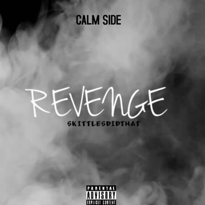 Cover image for REVENGE (Calm Side)*
