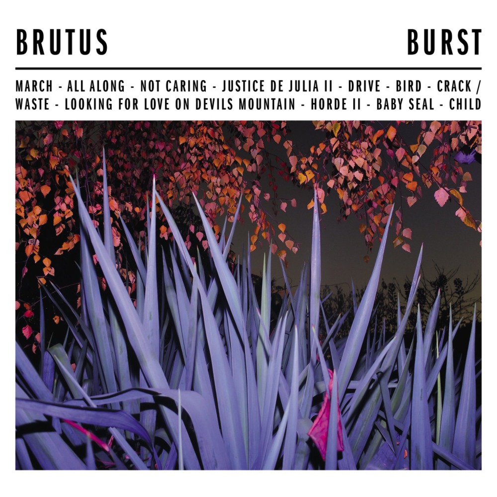 Bird by Brutus (BEL)