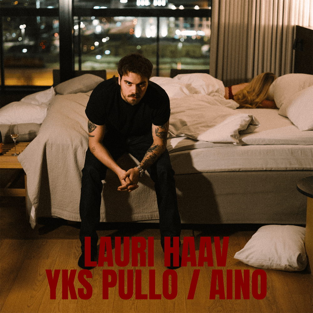 Cover image for Yks pullo / Aino
