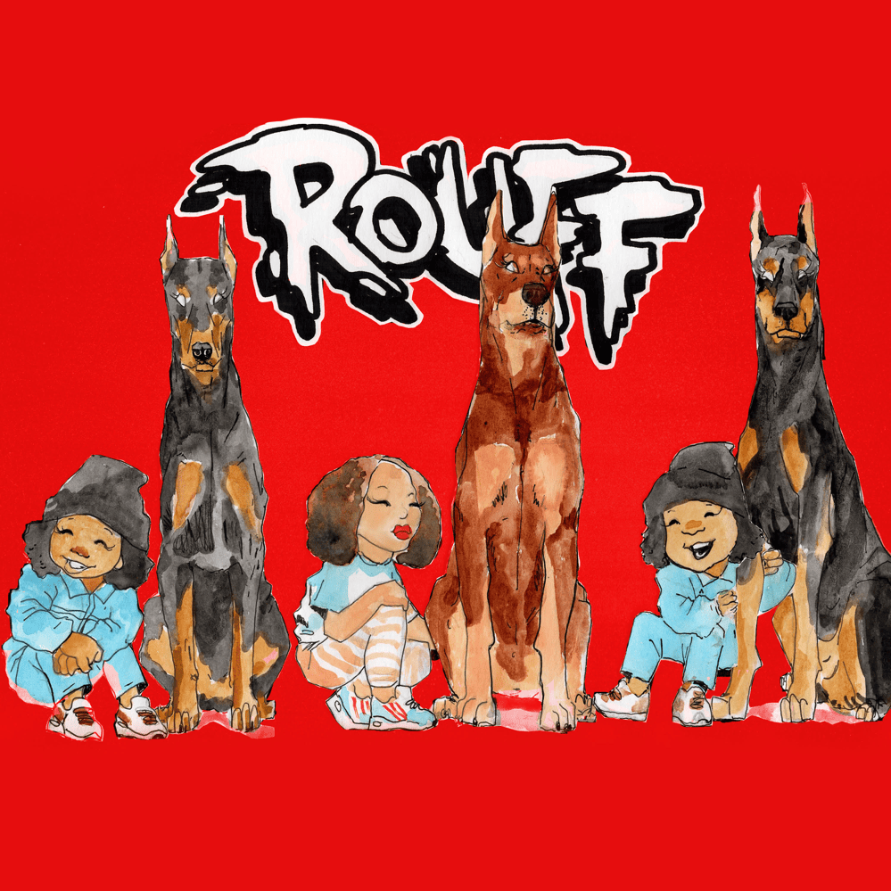 Cover image for Rouff
