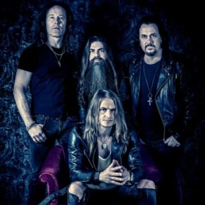 Cover image for Wolf