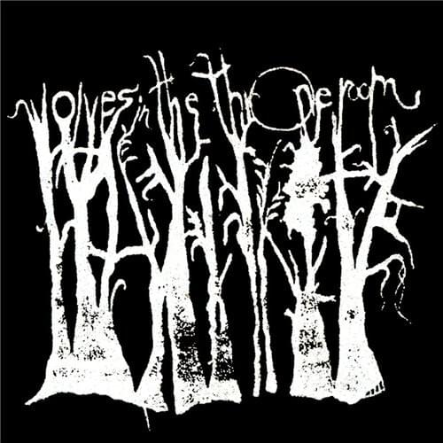 If This Dark Age Conquers, We Will Leave This Echo by Wolves in the Throne Room