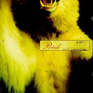 You’re Not a Seed by Pond (USA)