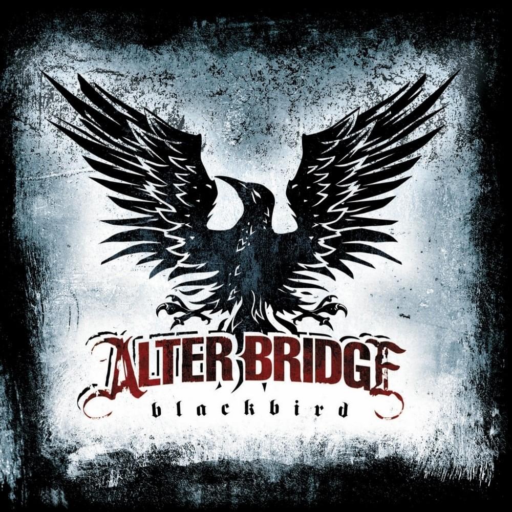 Cover image for Blackbird