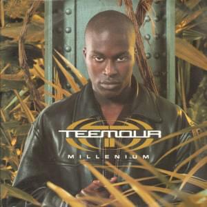 Millenium by Teemour