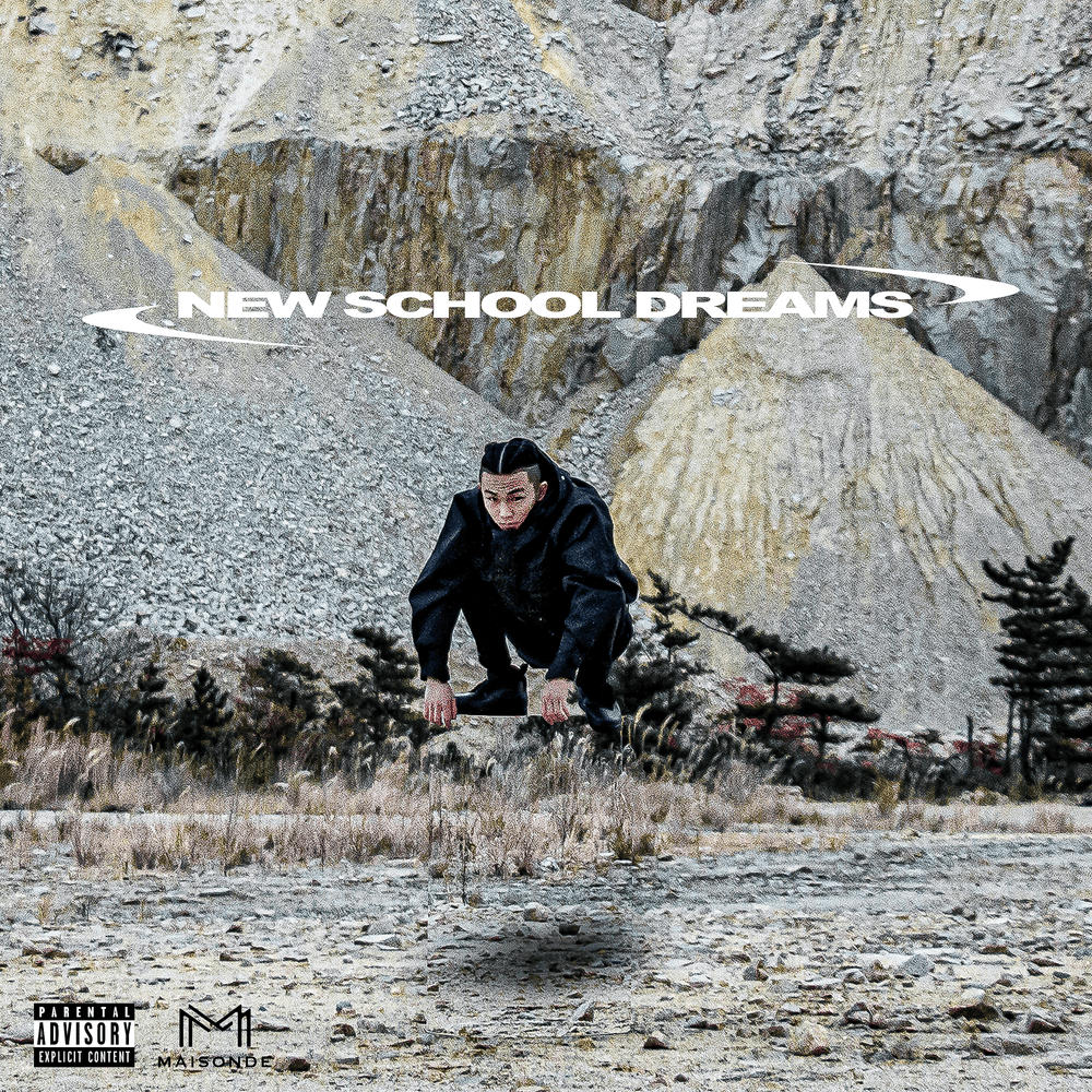 Cover image for New School Dreams