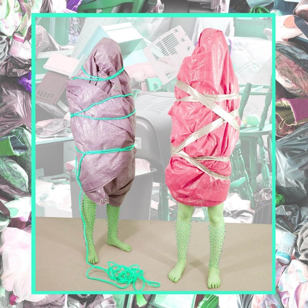 Cover image for DÉCROISSANCE PERSONNELLE