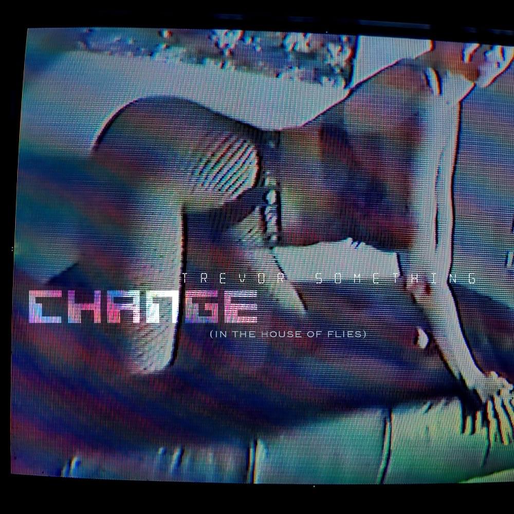 Album cover art for "Change (In The House Of Flies)" by Trevor Something