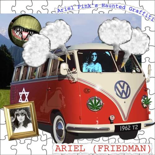 Album cover art for "Ariel (Friedman)" by Ariel Pink