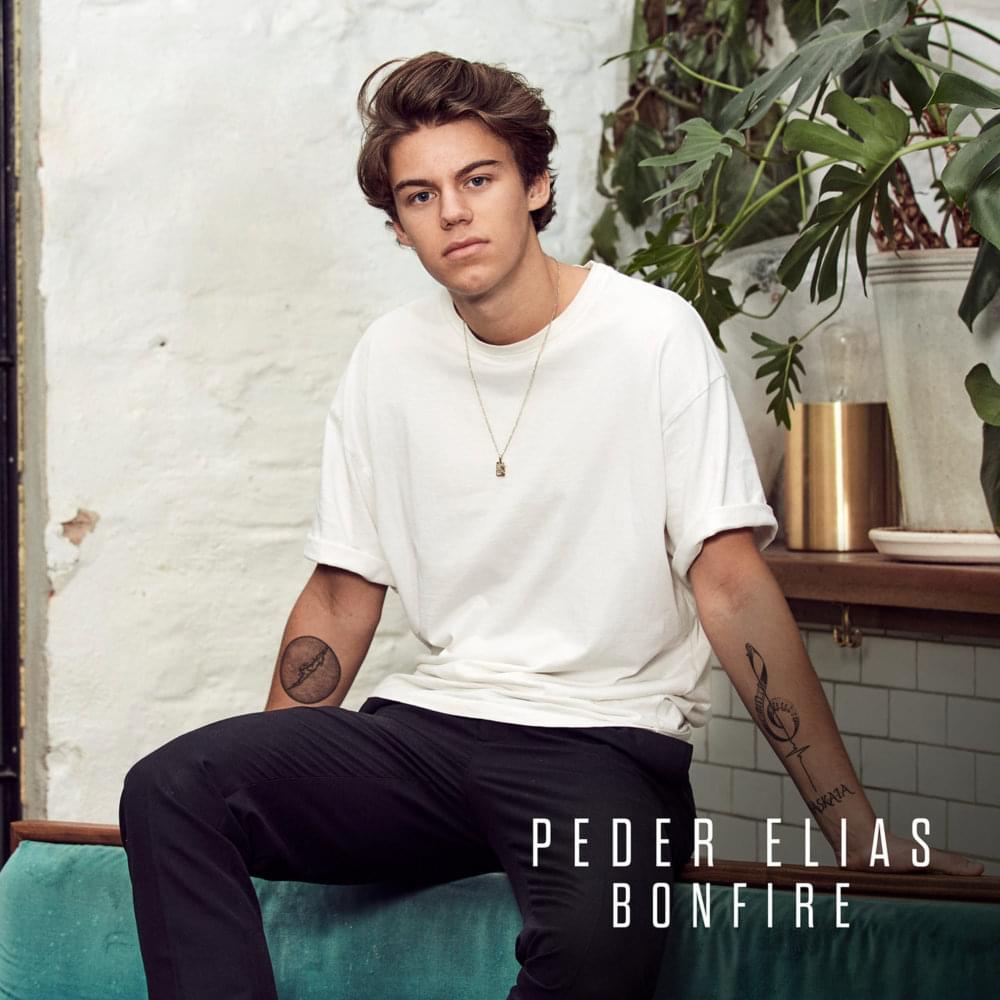 Bonfire by Peder Elias