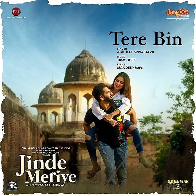 Tere Bin by Abhijeet Srivastava