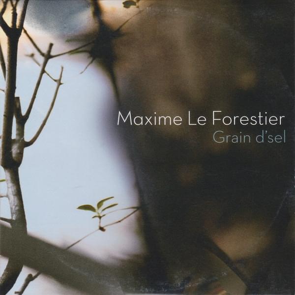 Album cover art for "Grain d’sel" by Maxime Le Forestier