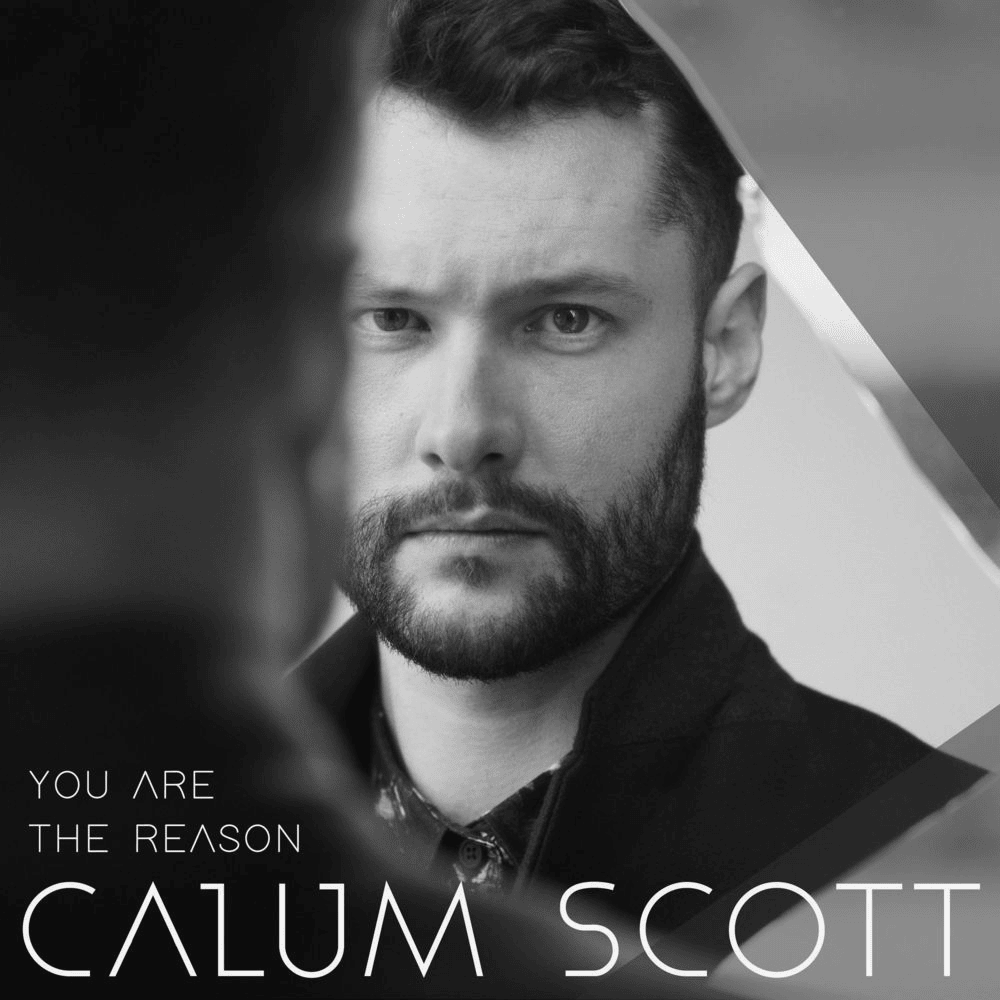 You Are The Reason by Calum Scott