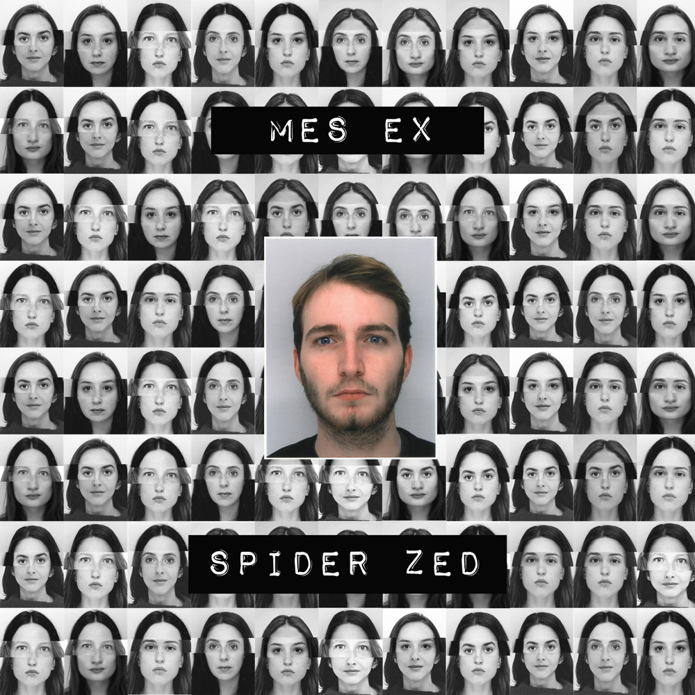 Cover image for Mes Ex