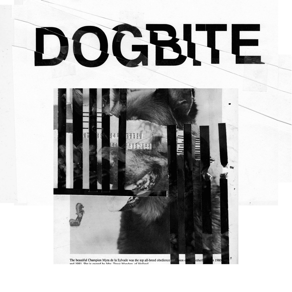 Good Boy by Dogbite