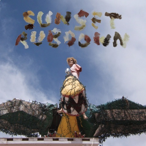 You Go On Ahead (Trumpet Trumpet II) by Sunset Rubdown