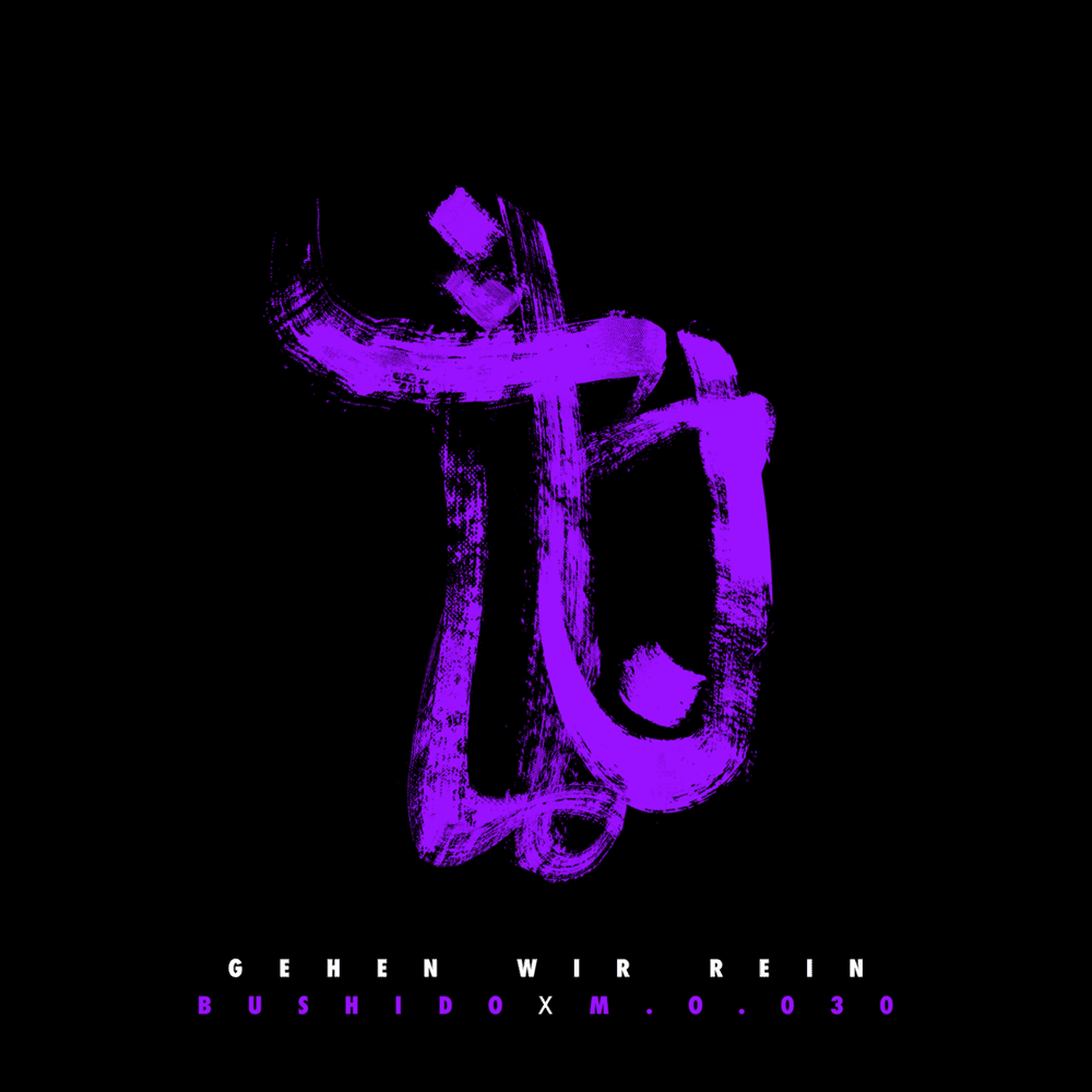 Album cover art for "Gehen wir rein" by Bushido & M.O.030