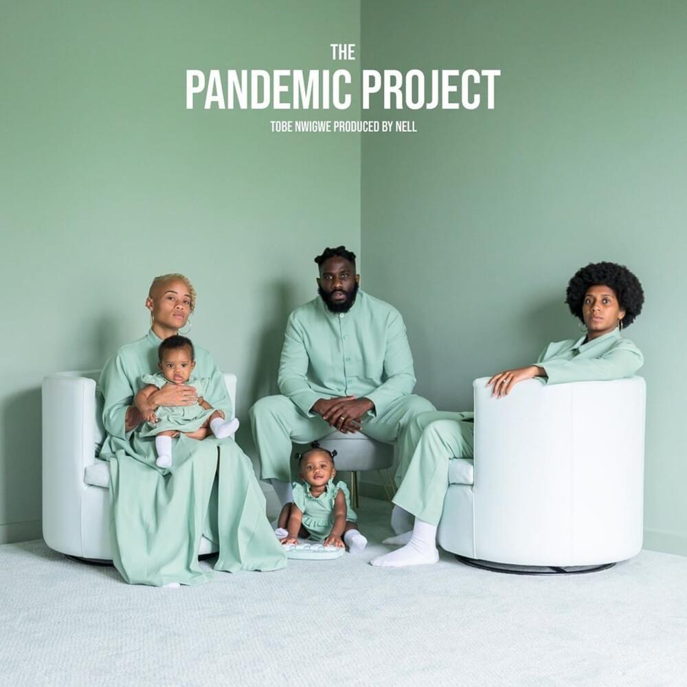 Cover image for The Pandemic Project