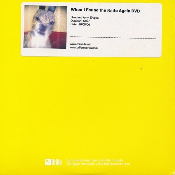 Cover image for When I Found the Knife Again