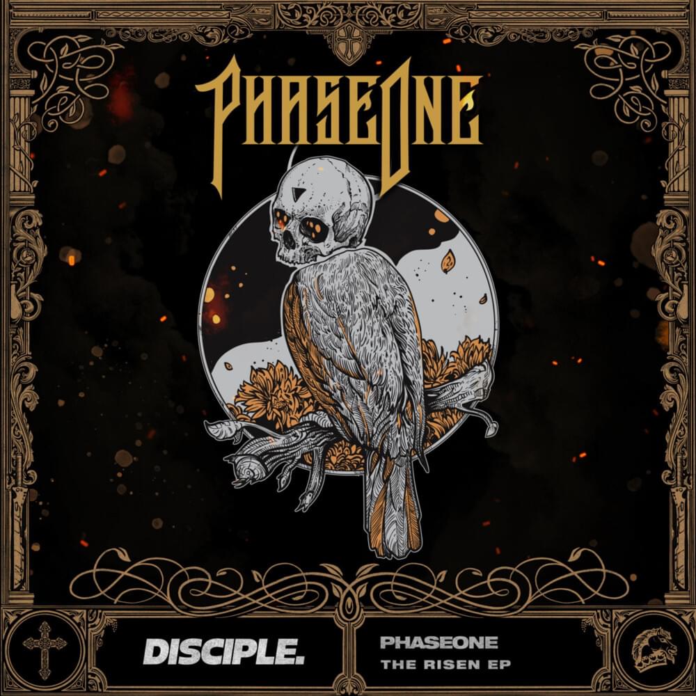 Raindrops by PhaseOne