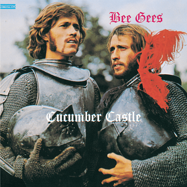 Cover image for Cucumber Castle