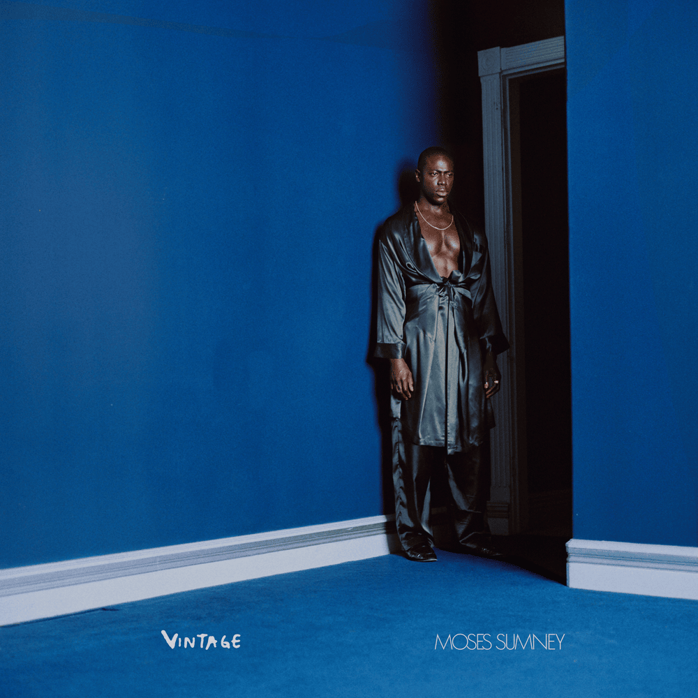 Album cover art for "Vintage" by Moses Sumney
