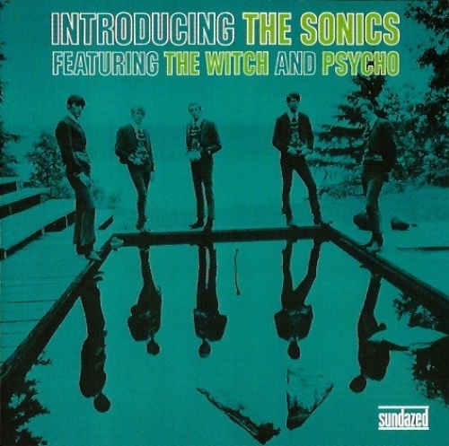 I’m a Rolling Stone by The Sonics