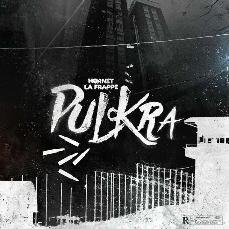 Album cover art for "Pulkra" by Hornet La Frappe