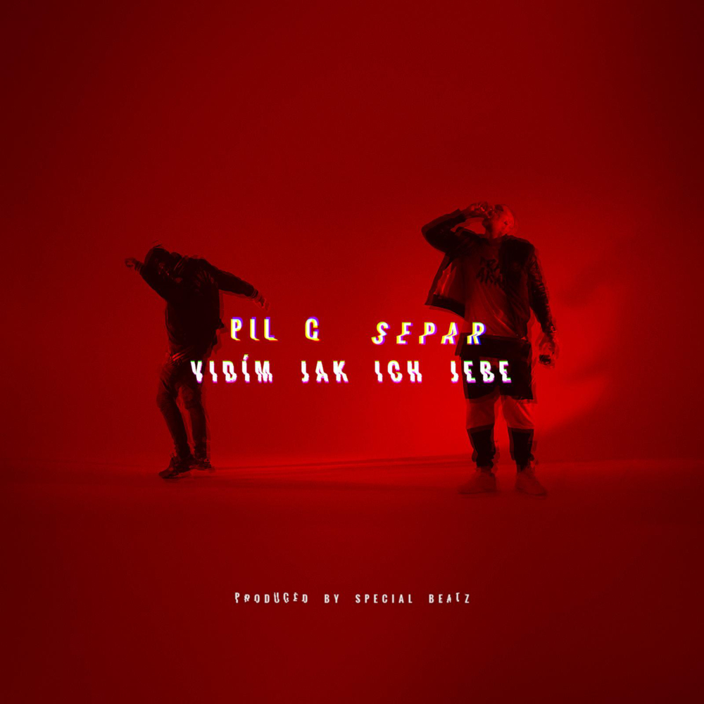 Album cover art for "Vidím jak ich jebe" by Pil C & Separ