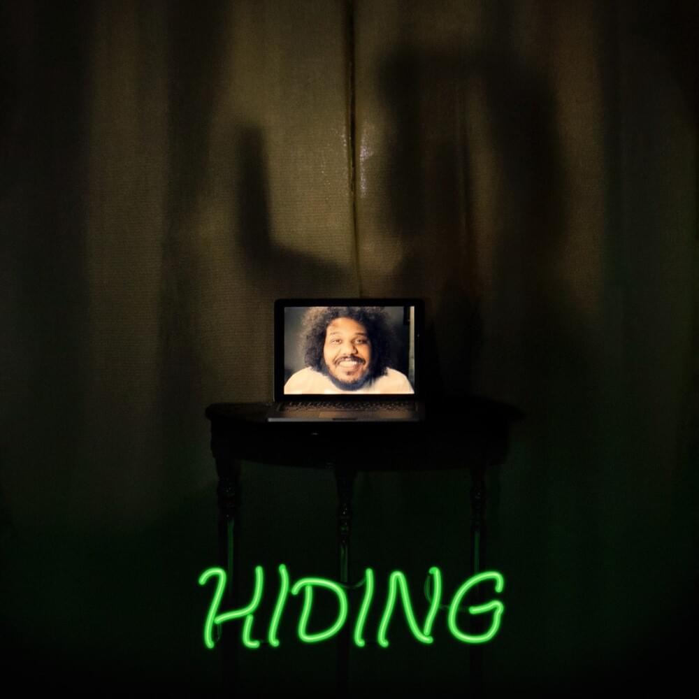 Cover image for Hiding
