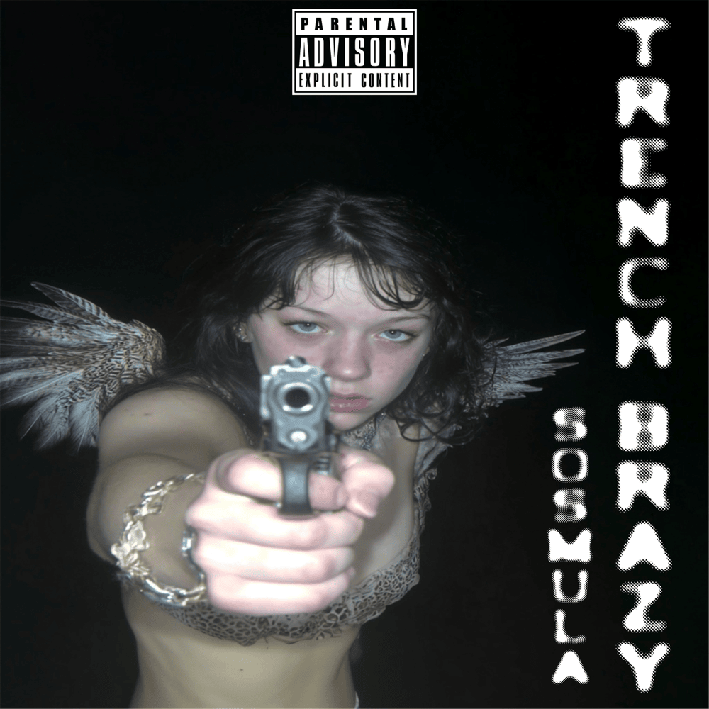 Album cover art for "TRENCH BRAZY" by SosMula