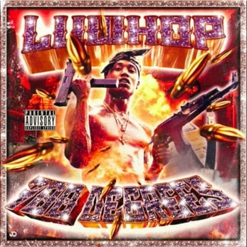 Cover image for 700 Degrees
