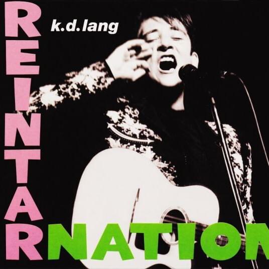 Cover image for Reintarnation