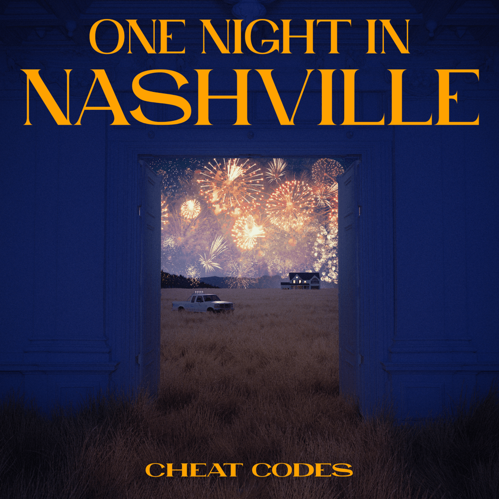 Cover image for One Night in Nashville