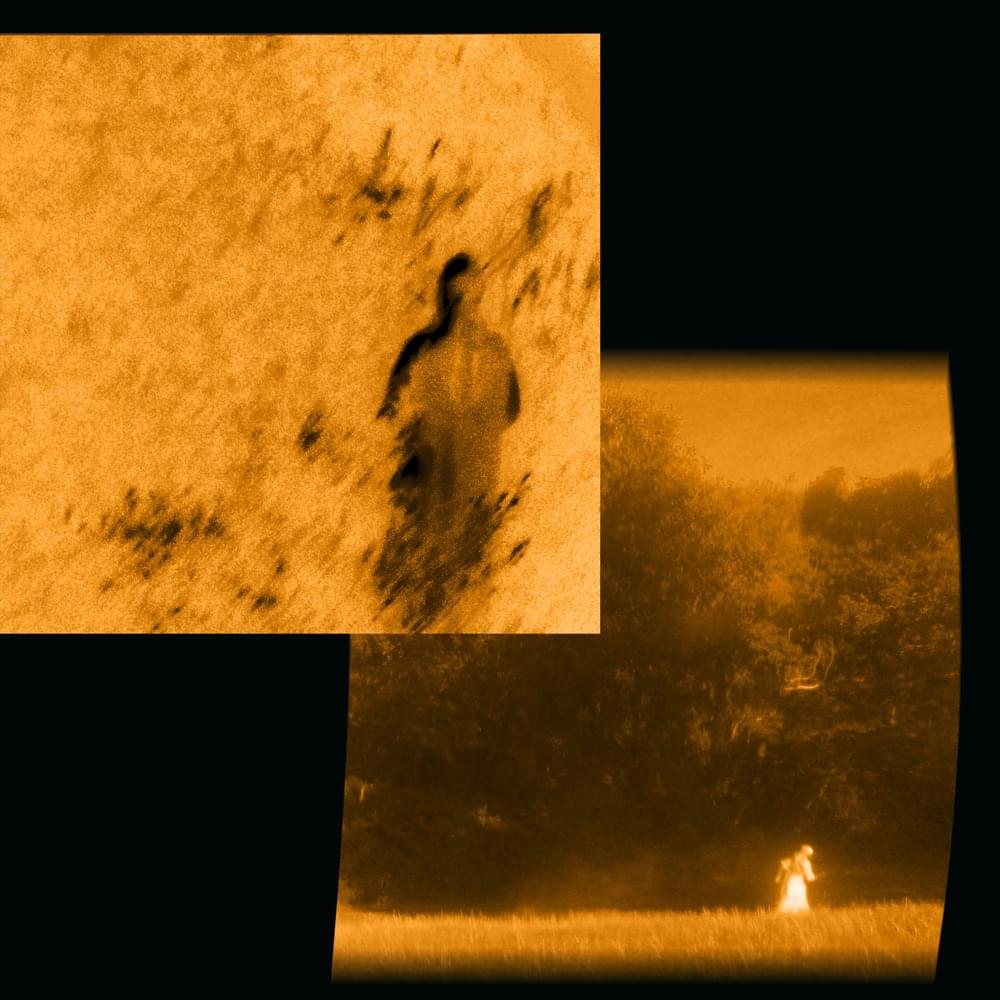 Cover image for Morning