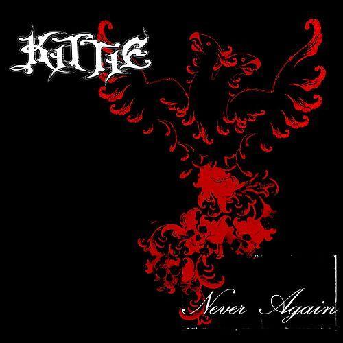 Cover image for Never Again