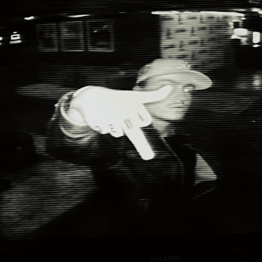 Cover image for MILLION DOLLAR BABY
