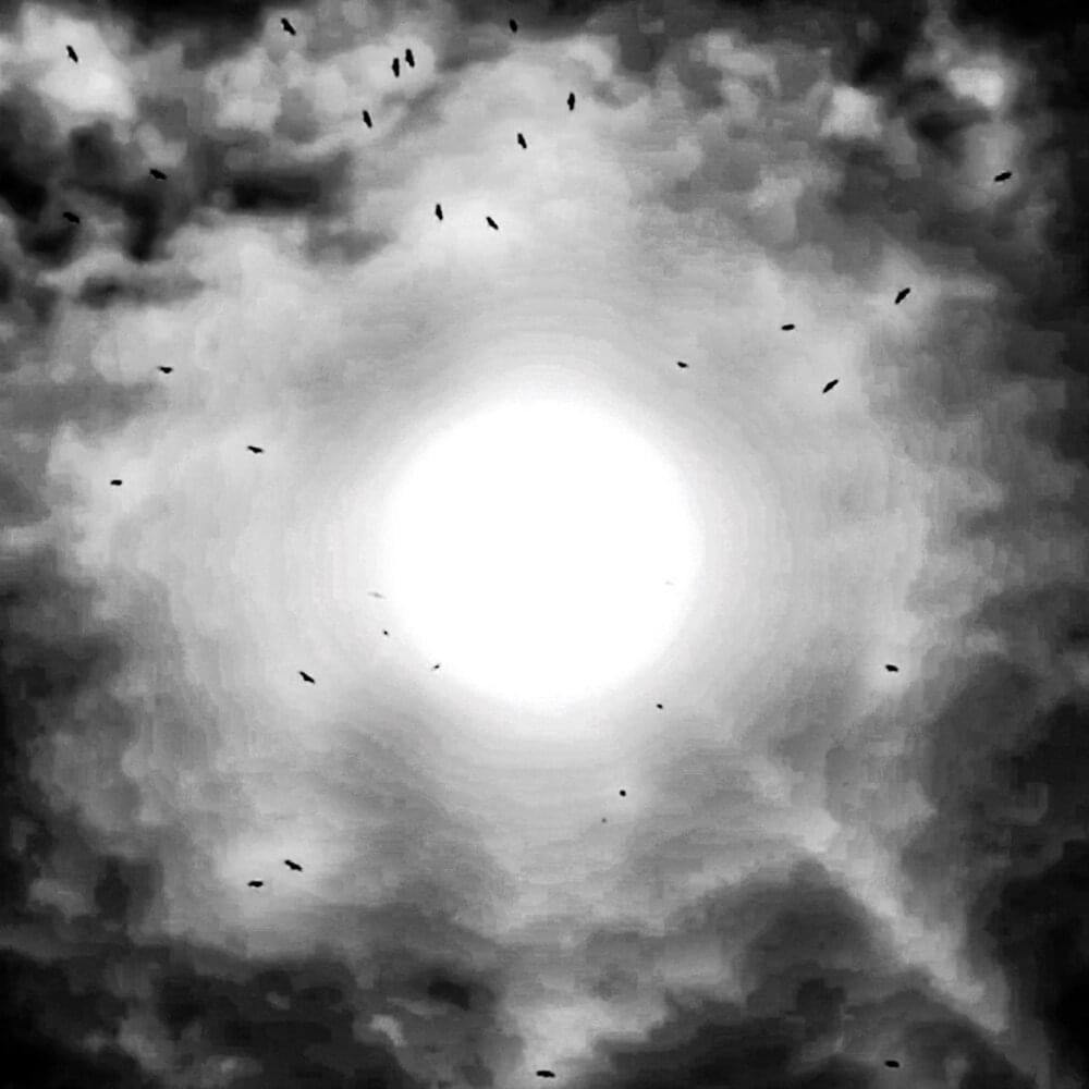 Album cover art for "Do You Need Me to Remind You?" by Greg Puciato