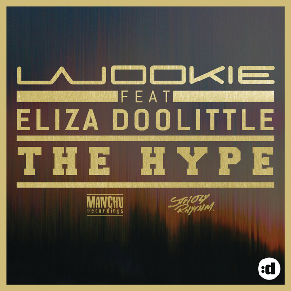 Album cover art for "The Hype" by Wookie & ELIZA