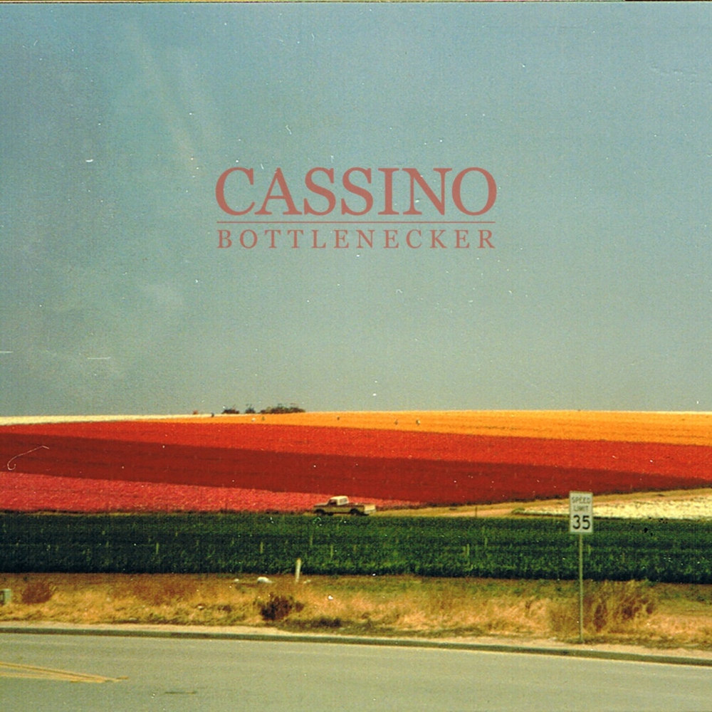 Rose of Lee by Cassino