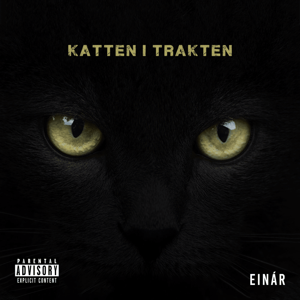 Katten i trakten by Einár