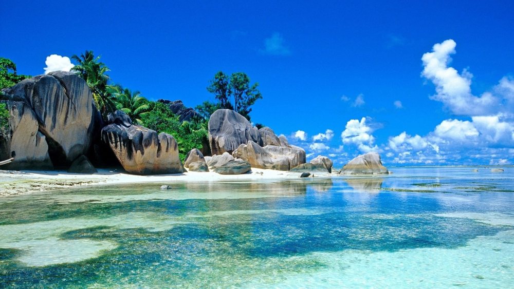 Enjoy This Lovely Paradise by Judy Boucher